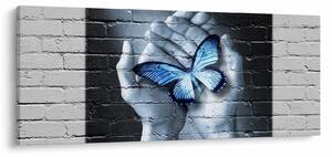 Obraz - Motýľ na stene (120x50 cm)