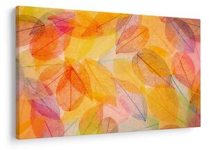 Obraz - Pozadie z jesenného lístia (90x60 cm)