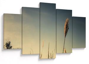 Obraz s trávou (150x105 cm)
