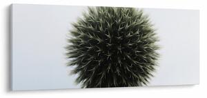 Obraz kvetinové gule (120x50 cm)