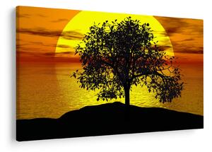 Obraz siluety stromu (90x60 cm)