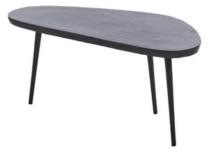 Čierny kovový konferenčný stolík 42x87 cm Puno – Light & Living