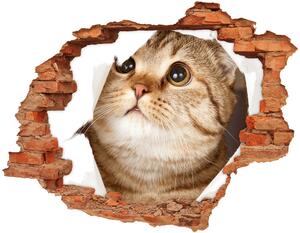 Nálepka 3D diera na stenu Mačka nd-c-52539481