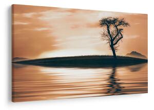 Obraz stromu na ostrove (90x60 cm)