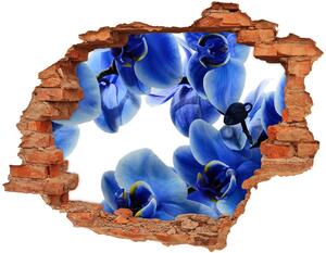 Fototapeta diera na stenu Modrá orchidea nd-c-108719239