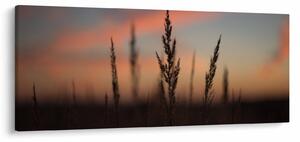 Obraz - Silueta rastliny (120x50 cm)
