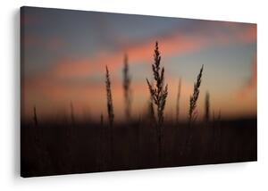 Obraz - Silueta rastliny (90x60 cm)