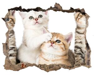 Díra 3D fototapeta nástěnná Nálepka malé mačky