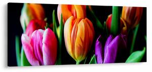 Obraz tulipánov na čiernom pozadí (120x50 cm)