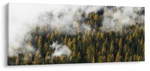 Obraz lesa v mrakoch (120x50 cm)