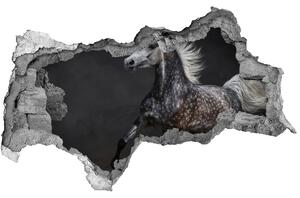 Diera 3D fototapeta na stenu Gray arabský kôň