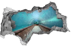 Fototapeta diera na stenu 3D Akvária tunel nd-b-82197217