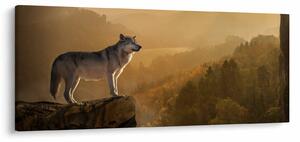 Obraz vlka na skale (120x50 cm)