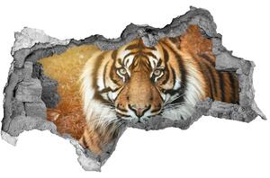 Diera 3D fototapeta na stenu Tiger bengálsky nd-b-116603957