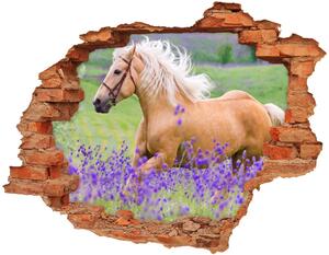 Fototapeta diera na stenu Kôň v poli levandule