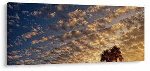 Obraz - Palmy medzi mrakmi (120x50 cm)