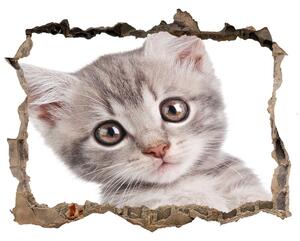 Díra 3D fototapeta na stěnu Sivá mačka nd-k-80791907
