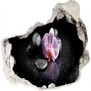 Diera 3D fototapety nálepka Orchidea nd-p-60629892