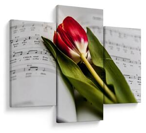 Obraz červeného tulipánu (90x60 cm)