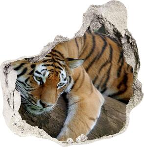 Fototapeta diera na stenu Tiger na strome nd-p-4289086