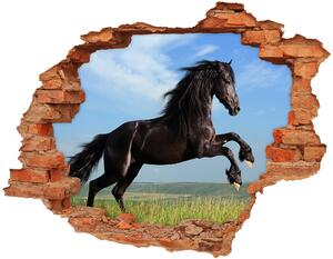 Fototapeta diera na stenu Čierny kôň na lúke
