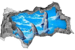 Diera 3D fototapeta na stenu nálepka Delfíny nd-b-39687572