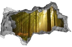 Diera 3D v stene nálepka Forest na slnku nd-b-27621934