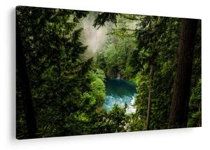 Obraz - Priezor medzi stromami (90x60 cm)