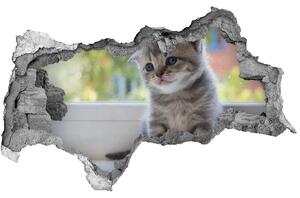 Diera 3D fototapeta na stenu Malá mačka na okne