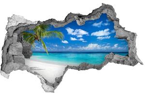 Diera 3D v stene nálepka Tropické pláže nd-b-151547263
