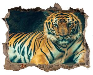 Díra 3D fototapeta nálepka Tiger cave nd-k-121530926
