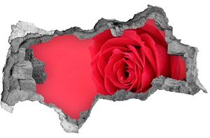 Diera 3D fototapeta na stenu Červená ruža nd-b-77656963