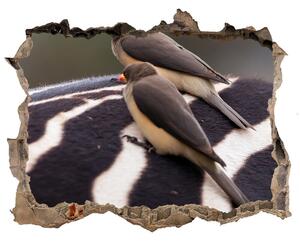 Díra 3D fototapeta nálepka Vtáky a zebra nd-k-133933149