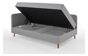 Svetlosivá čalúnená jednolôžková posteľ s úložným priestorom 120x200 cm Cabana – Meise Möbel