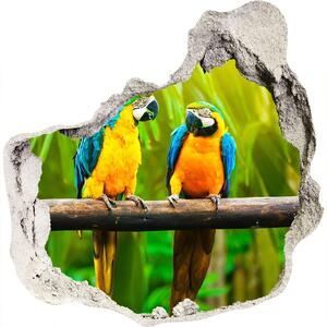 Diera 3D foto tapeta nálepka Papagáje na vetve