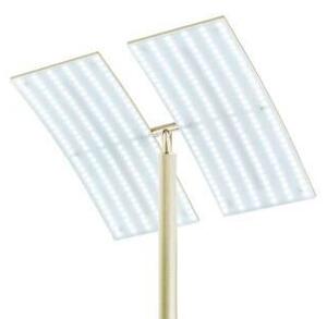 STOJACIA LED LAMPA, 31/21/182 cm Hell - Interiérové svietidlá