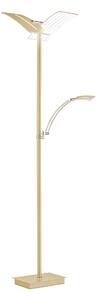 STOJACIA LED LAMPA, 31/21/182 cm Hell - Série svietidiel