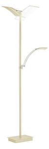 STOJACIA LED LAMPA, 31/21/182 cm Hell - Interiérové svietidlá