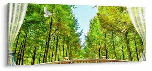 Obraz - Výhľad na les (120x50 cm)