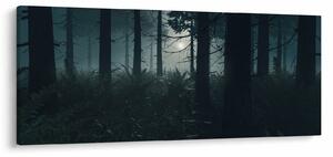 Obraz - Paprade v mesačnom svite (120x50 cm)