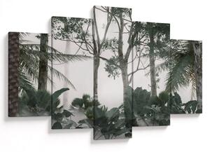 Obraz - Jungle v rannej hmle (150x105 cm)