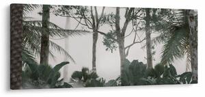 Obraz - Jungle v rannej hmle (120x50 cm)