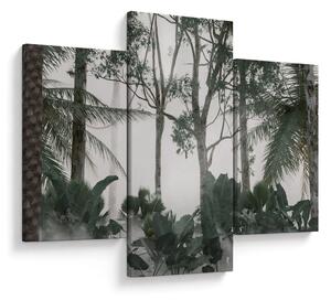 Obraz - Jungle v rannej hmle (90x60 cm)