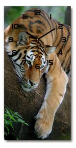 Nástenné hodiny Tiger na strome pl_zsp_30x60_f_4289086