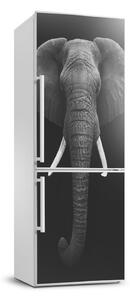 Nálepka fototapeta chladnička Africký slon