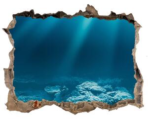 Nálepka fototapeta 3D na zeď Podvodný svet nd-k-72237890