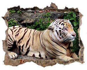 Fototapeta díra na zeď Tiger na skale nd-k-118161704