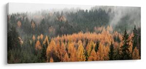 Obraz - Jesenný les (120x50 cm)