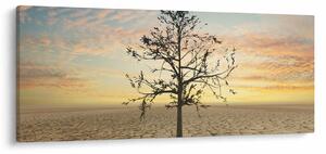 Obraz - Strom na púšti (120x50 cm)