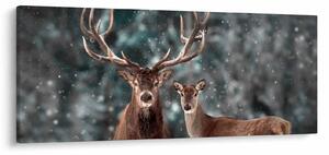 Obraz - Jeleň a laň v zasneženom lese (120x50 cm)